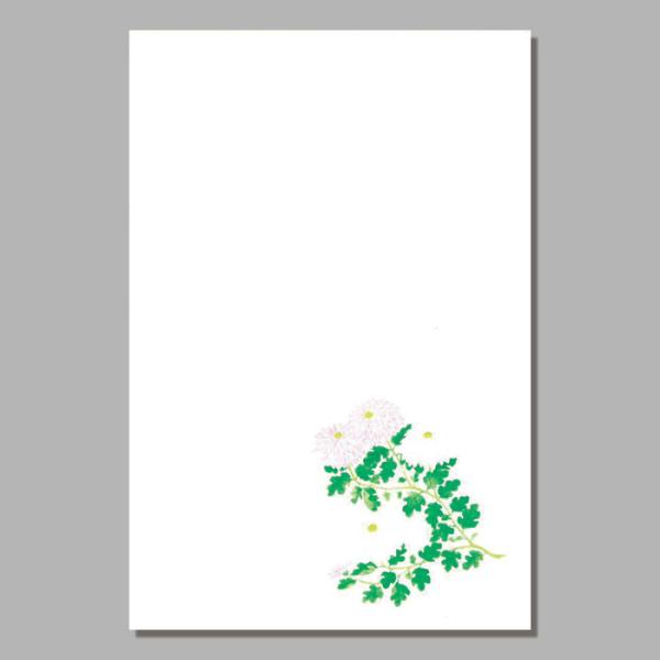 喪中 はがき 寒中見舞い 葉書 年末 年始 ハガキ 和紙 和風 冬 イラスト 無料 年賀欠礼 戒名 年賀状 御礼 挨拶状【FPS-604】菊(キク)福井朝日堂