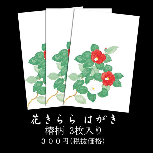 年賀状 寒中見舞い はがき 冬 絵葉書 ポストカード イラスト 無料 和風【花きらら FPS-707 椿(つばき) 3枚入り】年賀状 返礼 御礼状 挨拶状 福井朝日堂 京都