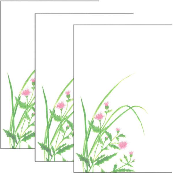 はがき ポストカード 絵葉書 あざみ 薊 2021年 春 新作 花 和風 季節 春 夏 秋【花きらら FPS-736 あざみ 薊 ３枚入り】イラスト 挨拶状 お礼 ハガキ 福井朝日堂