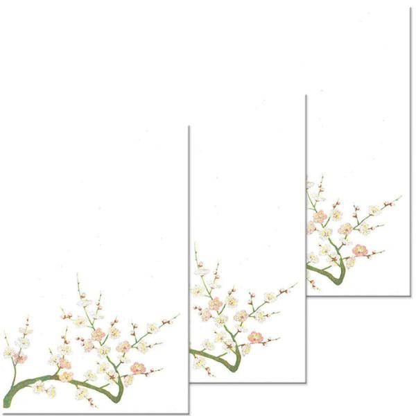 年賀 はがき 寒中見舞い ハガキ 和紙年賀状  和風【寿ぎ FPS-801 梅(うめ) ３枚入り 定型文なし】冬 イラスト ポストカード 無料 絵葉書 年賀 返礼 福井朝日堂
