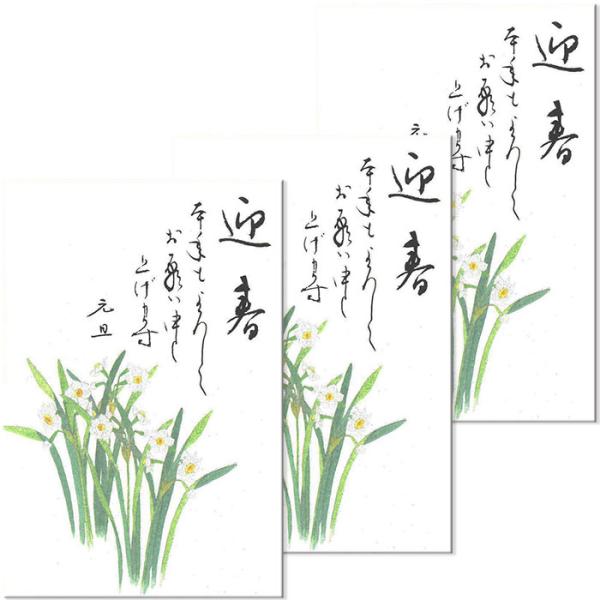 年賀 はがき 和紙 年賀状 葉書 和風ハガキ 冬 イラスト ポストカード 絵葉書 無料 御礼状 花の寿ぎ Fps 804a 水仙 すいせん ３枚入り 定型文付き 福井朝日堂 Buyee Buyee 提供一站式最全面最专业现地yahoo Japan拍卖代bid代拍代购服务 Bot Online