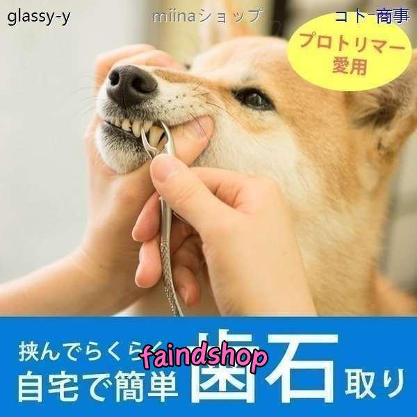 愛犬・愛猫用 歯石取り ペンチ 犬 歯石 デンタルケア ホームケア