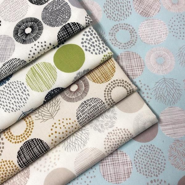 IbNX n k ۂ̖͗l t t hbg   􉽊w͗l T[N 菑 i` Jȕ炵 nhCh 100 z |