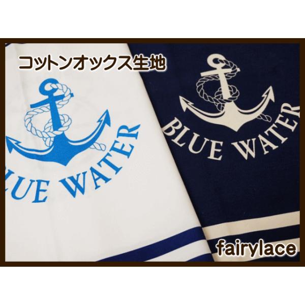 ���n �z �R�b�g���I�b�N�X���n1�p�l���J�b�g�iBLUE WATER�j