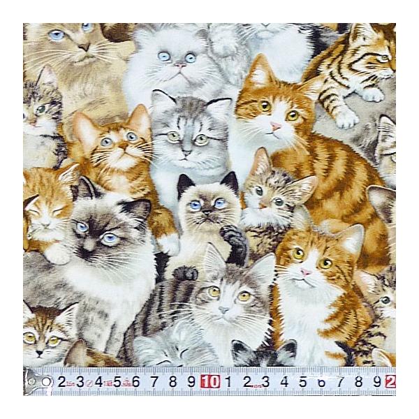 ES-1651 ̎qlR Rbgvgn