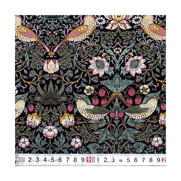 X MO-1889 xXgEIuEX D_ _}XNEubN Rbgvgn