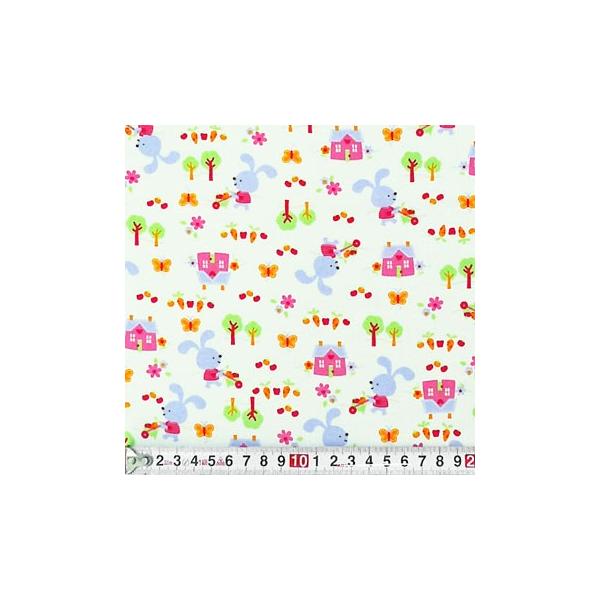 F-2541 ETMƒXƉ zCg Rbgvgn