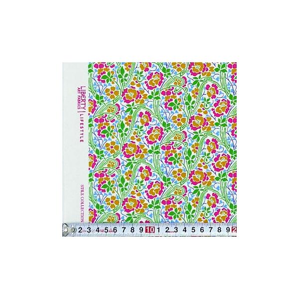 LI-2654 oeB sN̂ I[I[o[ Rbgvgn