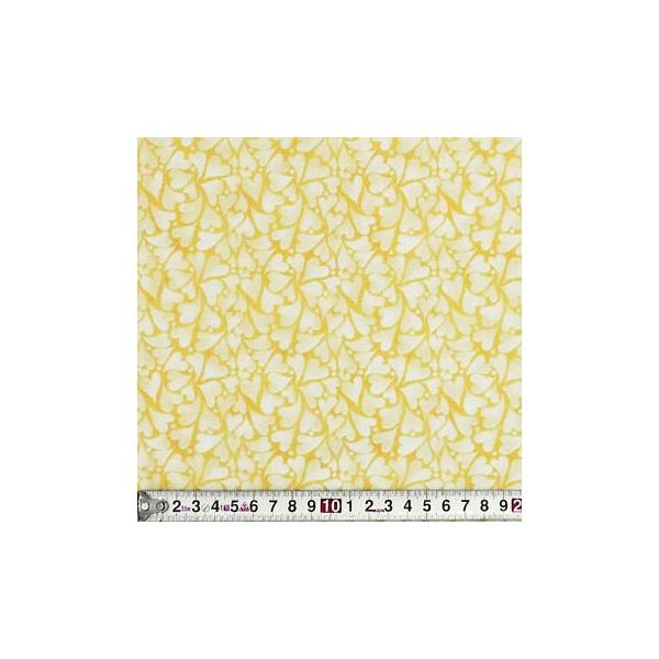 FT-2675 n[g I[I[o[/CG[ Rbgvgn