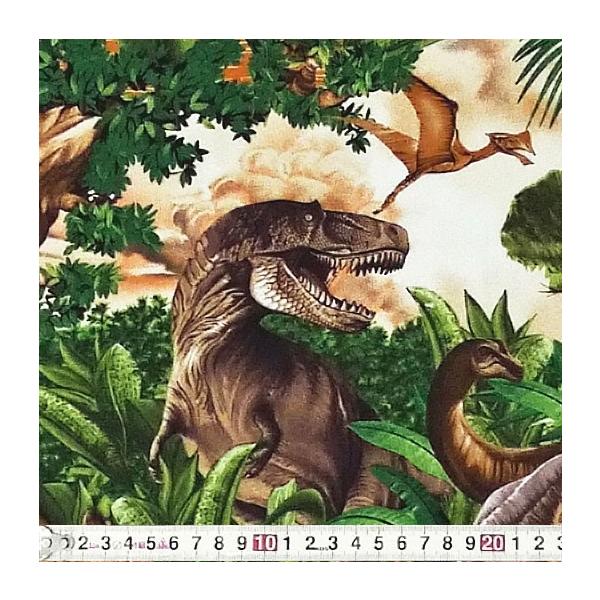 TT-2845 ̐E V[jbN 110*50 Rbgvgn