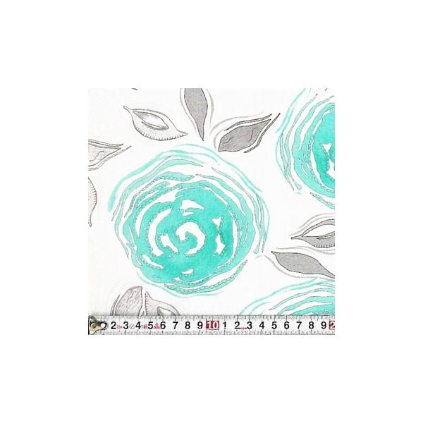 MO-2912 ŉ̂悤ȃo u[ Rbgvgn