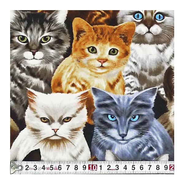 TT-2924 ߂lRB I[I[o[ Rbgvgn