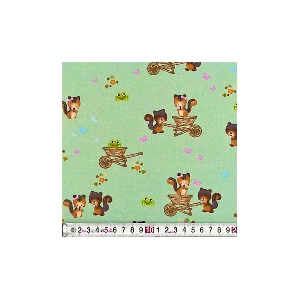 CC-2935 XƃJG V[xbgO[/gX Rbgvgn