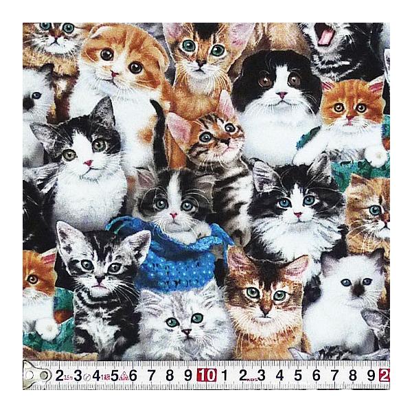 ES-3275 qL I[I[o[ Rbgvgn