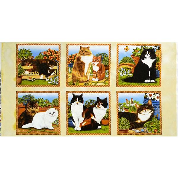 WP-3496 lRƂ s[pl/x[W 110*59 i Rbgvgn