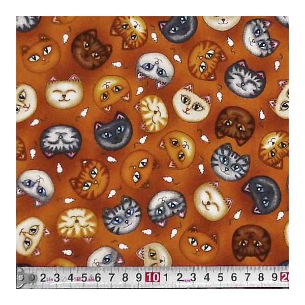 RJR-3514 CXg̗lȃlR̊ƃlY~ gX/KF Rbgvgn