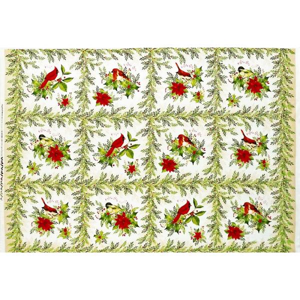 MS-3793 J[fBiAAJRK̃NX}XEpl zCg 110*75 i Rbgvgn