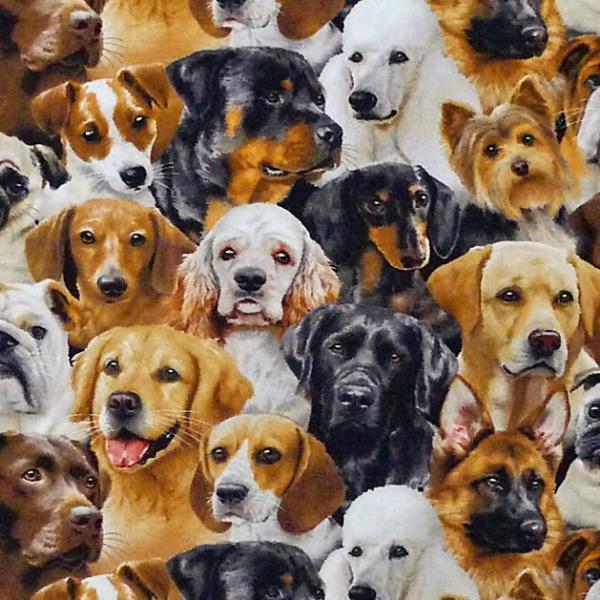 ES-3997 ̃|[g[g ^璴^܂ Rbgvgn