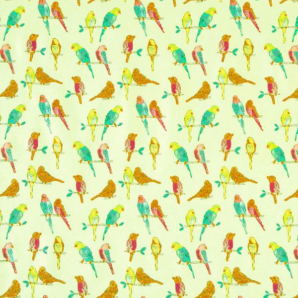 CW-4354 �C���R�A�J�i���A�A�I�E���A���̏��� �C�G���[ �R�b�g���v�����g���n