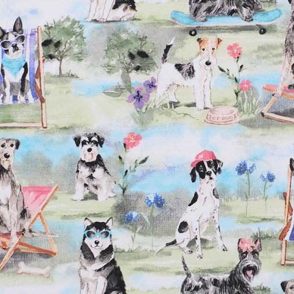 3W-4489 oJX̃Ck V[jbN Rbgvgn