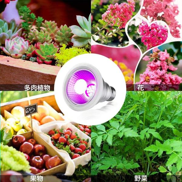 植物育成led ライト室内用プラントライト水耕栽培室内栽培植物成長ライト防水led電球e26口金7w Buyee Buyee 提供一站式最全面最專業現地yahoo Japan拍賣代bid代拍代購服務