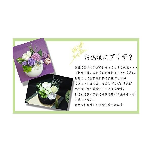 フラデコ 和風プリザーブドフラワー 楓 パープル Buyee Buyee Japanese Proxy Service Buy From Japan Bot Online