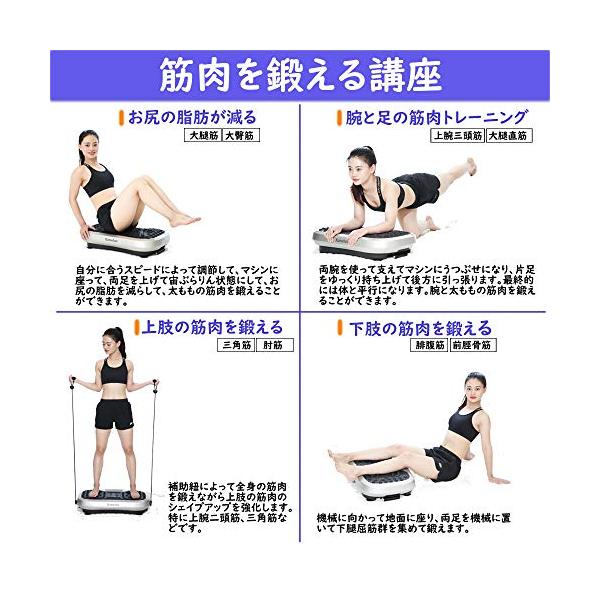 2年間保証 振動マシン 3d振動 5種類のプログラムモード 振動調節1段階 振動マシーン 健康ダイエットマシン バランスウェーブ ぶるぶるマシン Prayatnonline Org