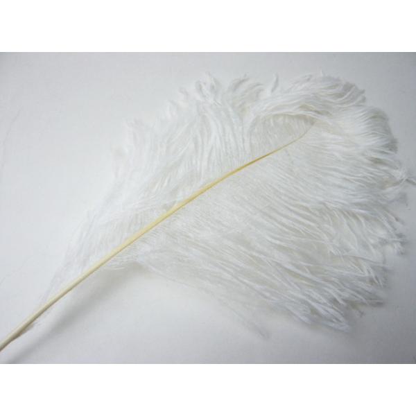 あやめ★オーストリッチ 羽毛 familiamia_out-hn-102