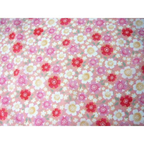 |GXe߂ tࣖÂ ND7-B sN(10cm)