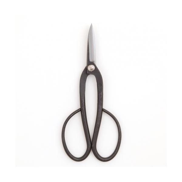 ؂낱с@YCS3@A(~)iElR|XΉEsj