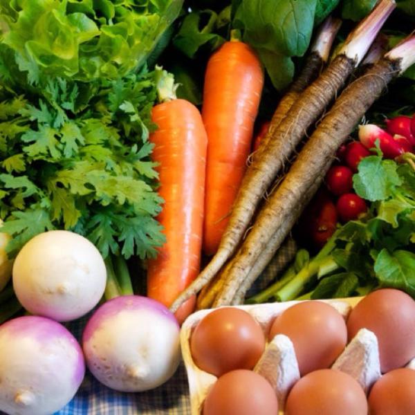 自然栽培農薬や化学肥料、除草剤を使用しない栽培。内容量野菜生産部門担当者お任せになります。卵について収穫後、殺虫、防腐、防カビ等の薬剤を使用せず遺伝子組み換えをしていないトウモロコシ、魚粉、米ぬかカキガラ等を中心とした自家配合飼料に鳥取県産...