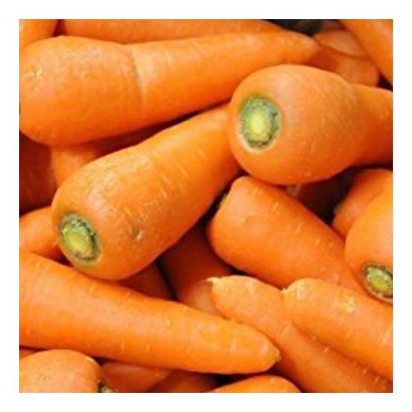 鳥取県大山山麓で栽培 安心安全な人参自然農法(協生農法) 自然な環境状態に播種をして、雑草も抜かずに自然の力だけで収穫をすること 栽培期間農薬化成肥料不使用栽培