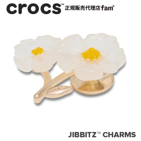 ジビッツ クロックス crocs【アクセサリー jibbitz ジビッツ】NATURE6