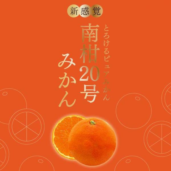 ④pisces　南柑20号サイズ混合８kg 真穴産 温州みかん 南柑20号 サイズ混合 S～2Lサイズ 箱込み3kg