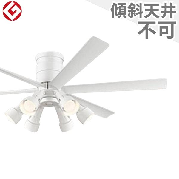  ۏ FLED [R15] y LED 6 邳8 EFؑ DC[^[ 啗 I[fbN zCg V[Ot@ Cg OLB-033