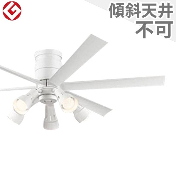  ۏ FLED [R15] y LED 5 EFؑ DC[^[ 啗 I[fbN zCg V[Ot@ Cg OLB-034