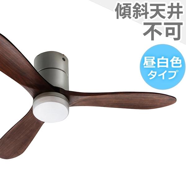 ۏ JAVALO ELF Modern Collection REAL wood blades JE-CF004M-SV ^ y LED 1  啗 CtIv_Nc V[Ot@ Cg WCE-003