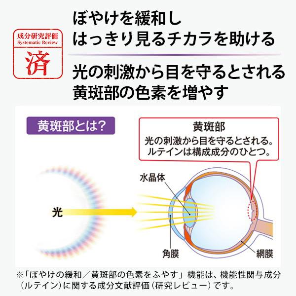 ポイント15倍 えんきん サプリメント 約90日分 徳用3袋セット サプリ ルテイン アスタキサンチン Dha ブルーベリー ファンケル 公式 Fancl Buyee Buyee Japanese Proxy Service Buy From Japan Bot Online