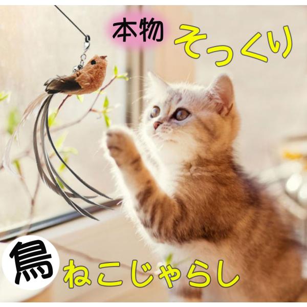 猫 おもちゃ 猫用品 ねこじゃらし 小鳥 猫のおもちゃ 猫じゃらし 羽 竿