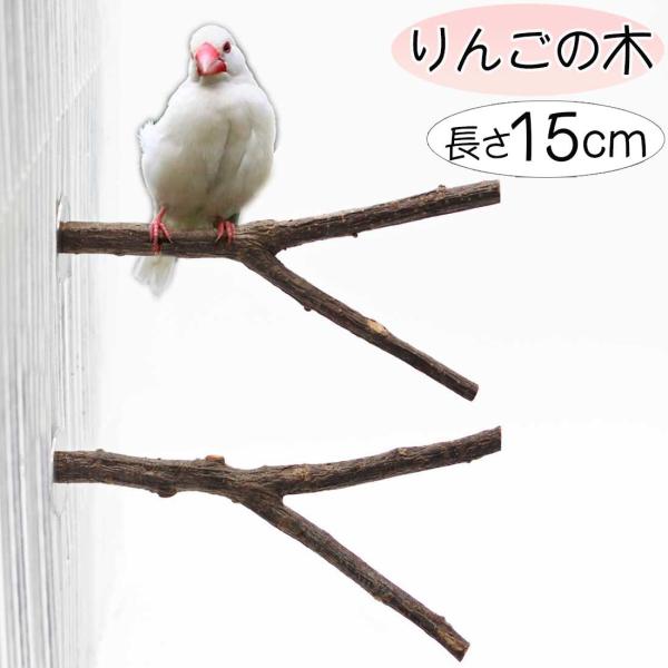 【素材】りんごの木・ステンレス【サイズ】全長：約15cm直径：約0.8-1.3cm【商品内容】本体2本ワッシャー4個ナット2個＊止まり木は無農薬・高温消毒済み。天然の木を使用しておりますので、自然についたキズ・へこみ等がございます。止まり木...