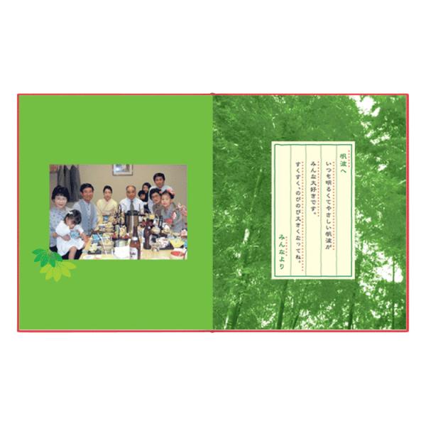 アルバムえほん 七五三祝ブック お仕立て券 写真 ブランド品 絵本