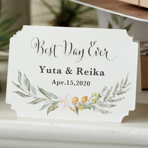 プチギフト 保証 結婚式 おしゃれ スモールガーデン 安い お礼 二次会 ポップコーン48個セット