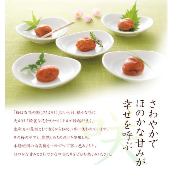 笑福梅 しょうふくばい10a 10 割引かつお節小引引出物結婚式鰹節内祝お祝い紀州結婚内祝引き出物紀州南高梅ウメシーラック Buyee Buyee 提供一站式最全面最專業現地yahoo Japan拍賣代bid代拍代購服務