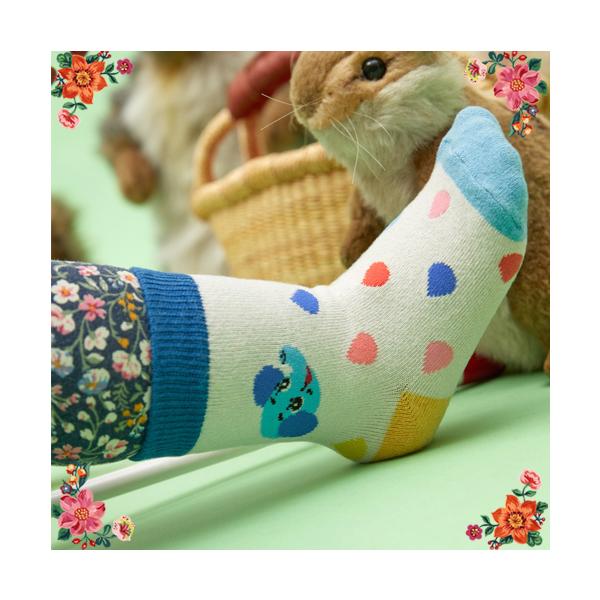 i^[Ee xr[E\bNX Cj[EfCEGt@g 12-15cm@]E̐ԂpC