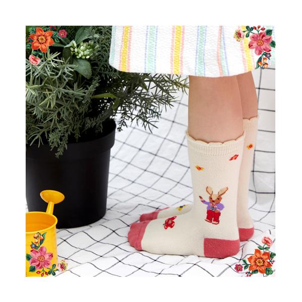 i^[Ee LbYE\bNX K[fErbg 15-18cm@ꂤ̎qpC