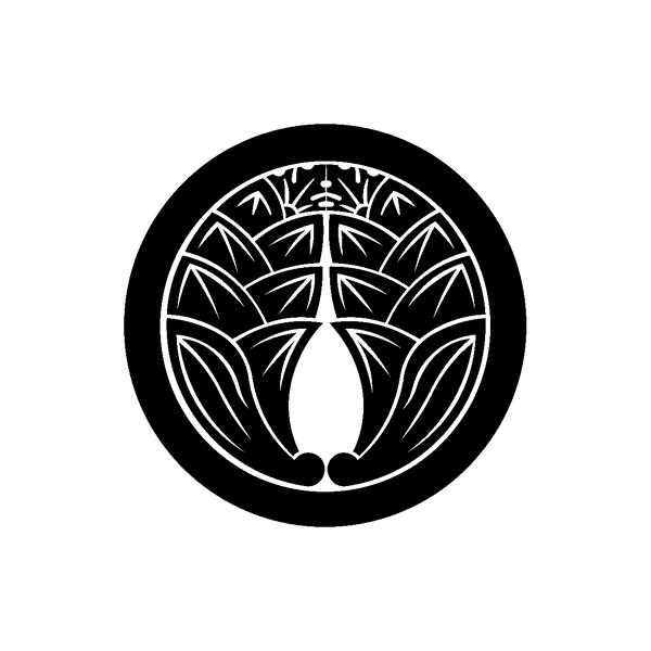 ƖXebJ[iJbeBOXebJ[j@260@ۂɕ䪉ׁ@20cm