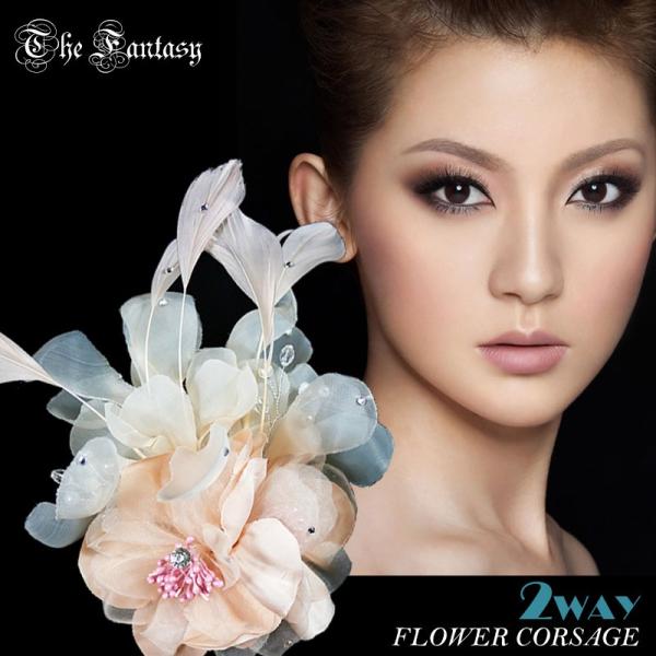 RT[W w tH[} 2way RT[W Ǝ    ݌Ɉ|Z[ V[ Ώ fh19152bge