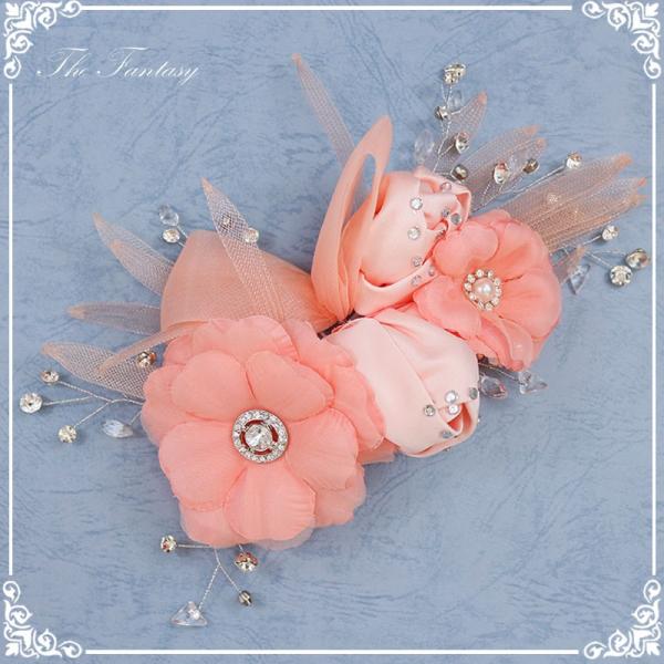 wbhhX ԉ EGfBO wbhhX   ^gD[V[ Ώ fhds022spk