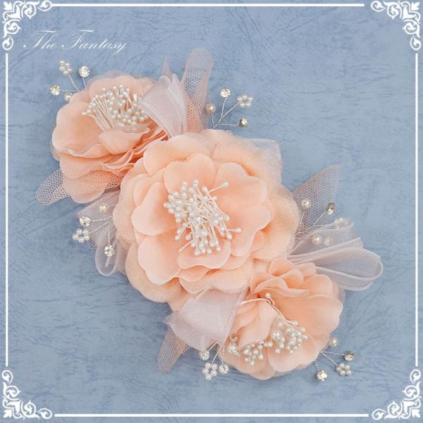 wbhhX ԉ EGfBO wbhhX   ^gD[V[ Ώ fhds036spk