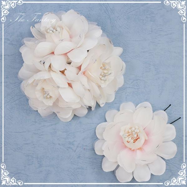 wbhhX ԉ EGfBO wbhhX   ^gD[V[ Ώ fhds037spk